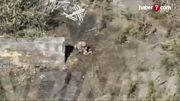 Ukrayna ve Rusya arasında kan donduran siper savaşları! İşte o görüntüler