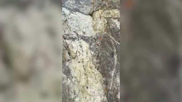 Rusya'da çığ faciası: 11 ölü, 6 kayıp!