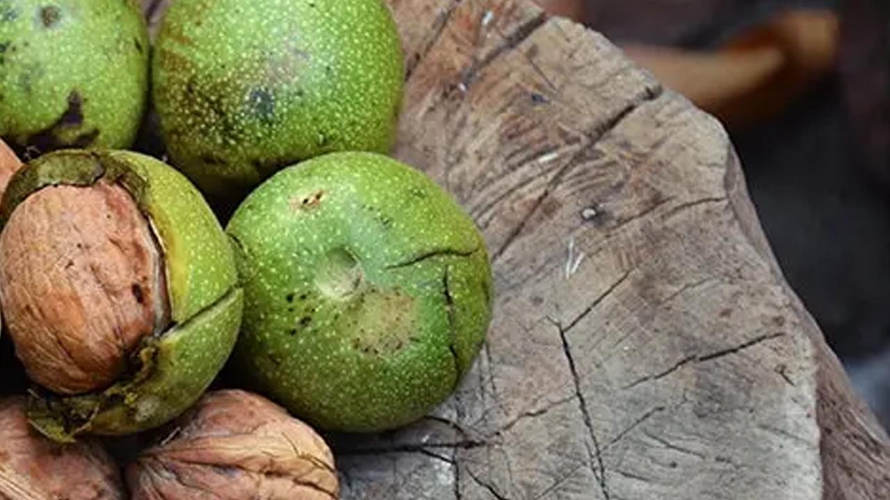 Yiyenler yaşadı: Damarlarınızı temizliyor! Kötü kolesterolü düşürüyor