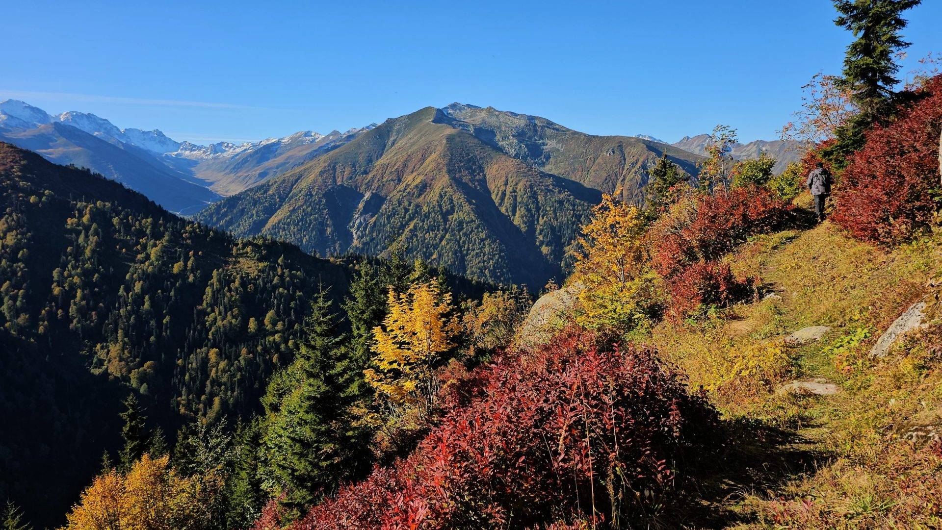 Rize’nin ünlü yaylaları sonbahar ile renklendi, doğa tutkunları manzaraya doyamadı