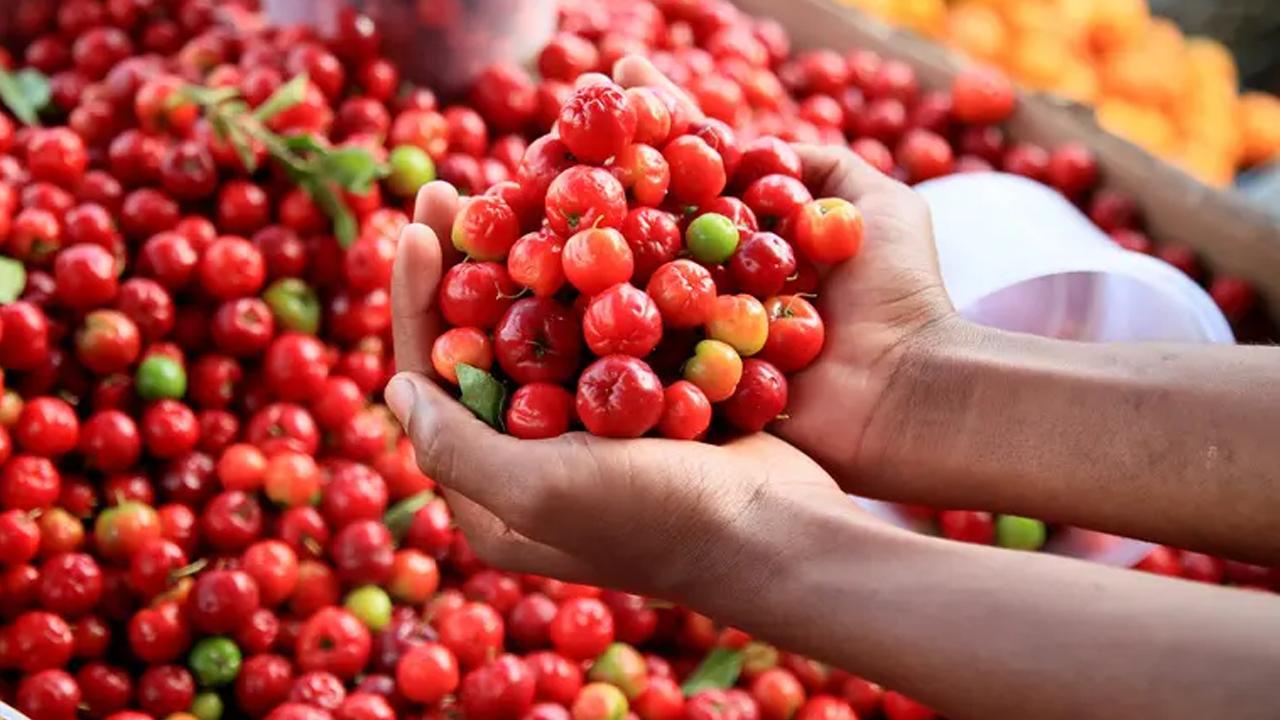 Limonu ezdi geçti, 60 kat daha vitaminli! Ona 'yeşil altın' deniyor