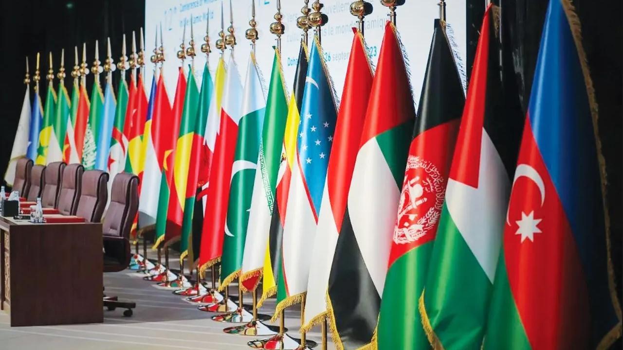 Türkiye, İİT'de başkanlığını Irak'a devrediyor