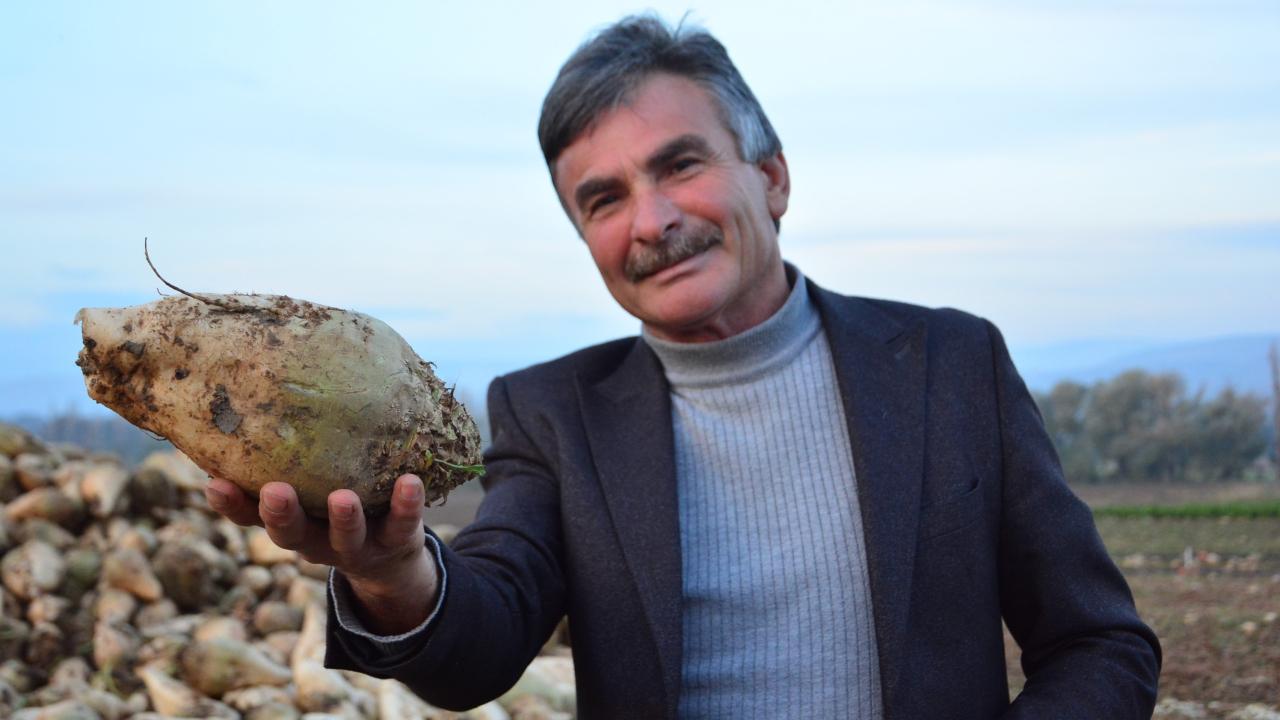 Çorumlu çiftçiden sert çıkış! Kazanmıyorum diyenler külliyen yalan söylüyor