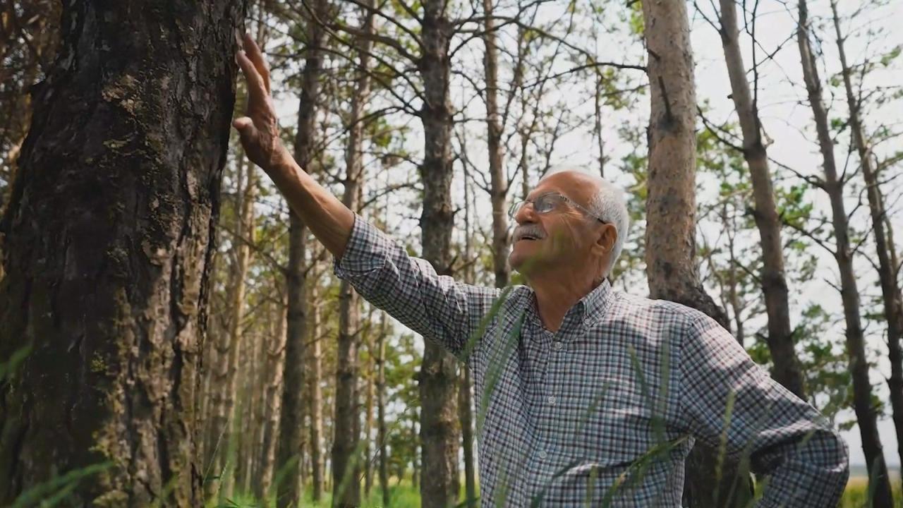55 yıl önce dikildi, bugün ormana dönüştü! Kars'taki istasyonun bilinmeyen hikayesi